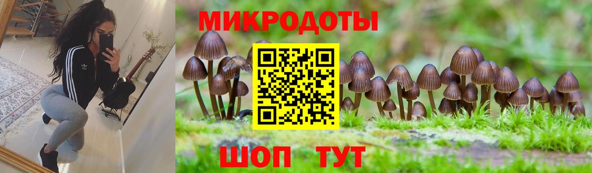 Галлюциногенные грибы мицелий Нижний Новгород